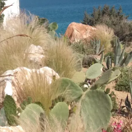 Glymar Paros 招待所 皮索·里瓦蒂